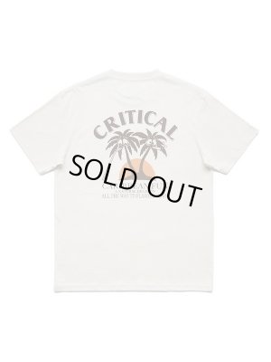 画像1: Critical Slide クリティカル スライド/ MALIBOOZE TEE