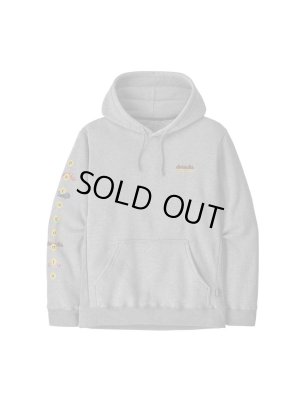 画像1: PATAGONIA パタゴニア / フィッツロイ・ワイルド・アップライザル・フーディ GLH