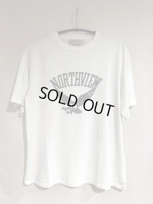画像1: REMI RELIEF レミレリーフ / プリント S/S TEE SP加工 New-Fit [NORTHVIEW]