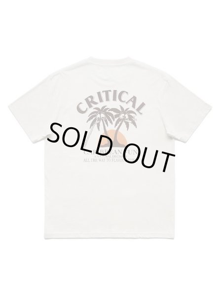 画像1: Critical Slide クリティカル スライド/ MALIBOOZE TEE (1)
